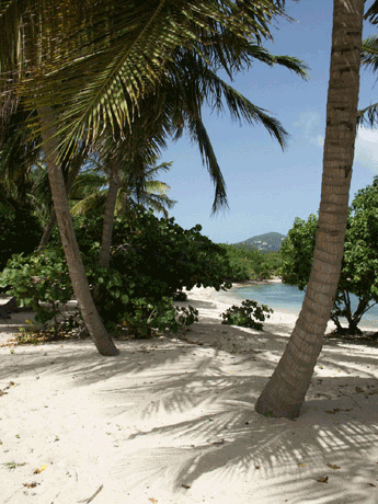 Villa Terra Nova, St. Thomas Virgin Islands Vacation Rental